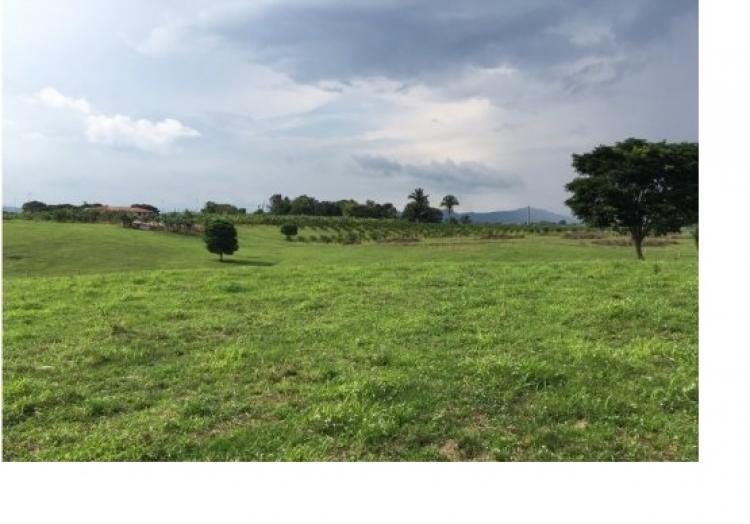 Foto Lote en Venta en VIA ARMENIA AEROPUERTO EL EDEN, VIA ARMENIA AEROPUERTO EL EDEN, Quindío - $ 2.600.000.000 - LOV146800 - BienesOnLine