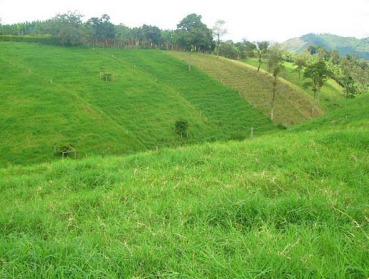 Espectacular lote ubicado en la ciudad de pereira