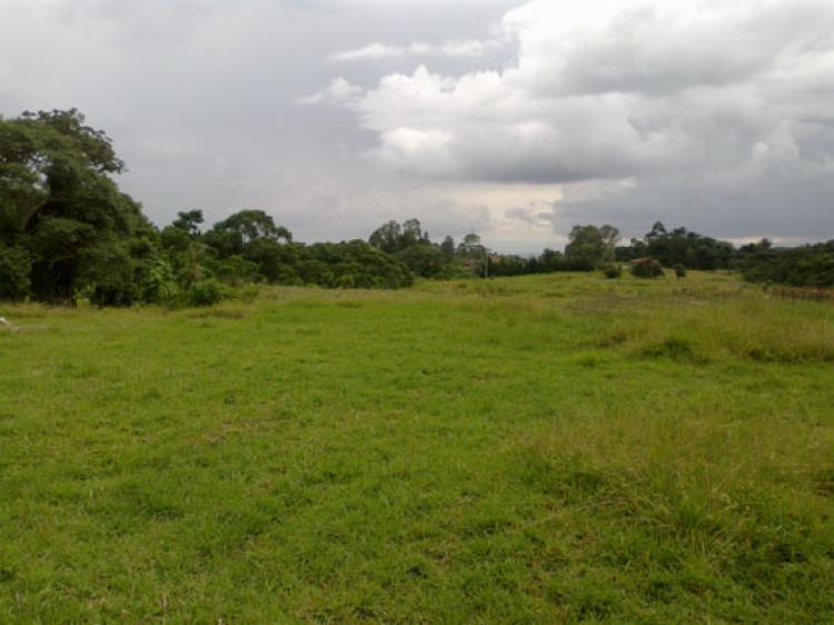 Foto Lote en Venta en Circasia, Quindío - $ 300.000.000 - LOV55058 - BienesOnLine