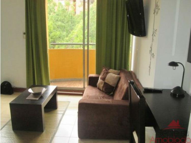Foto Apartamento en Arriendo en poblado, Medellín, Antioquia - APA95475 - BienesOnLine