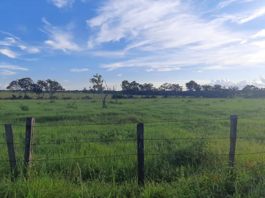 Excelente Finca 2100 Hectareas para proyecto agro industrial - A borde de paviementada