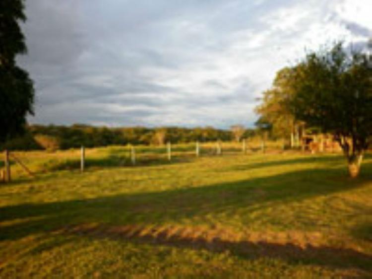 Foto Finca en Venta en Puerto Lopez, Puerto López, Meta - 218 hectareas - $ 654.000.000 - FIV141054 - BienesOnLine