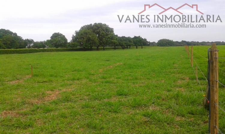 Foto Lote en Venta en Villavicencio, Villavicencio, Meta - $ 160.000.000 - LOV145479 - BienesOnLine