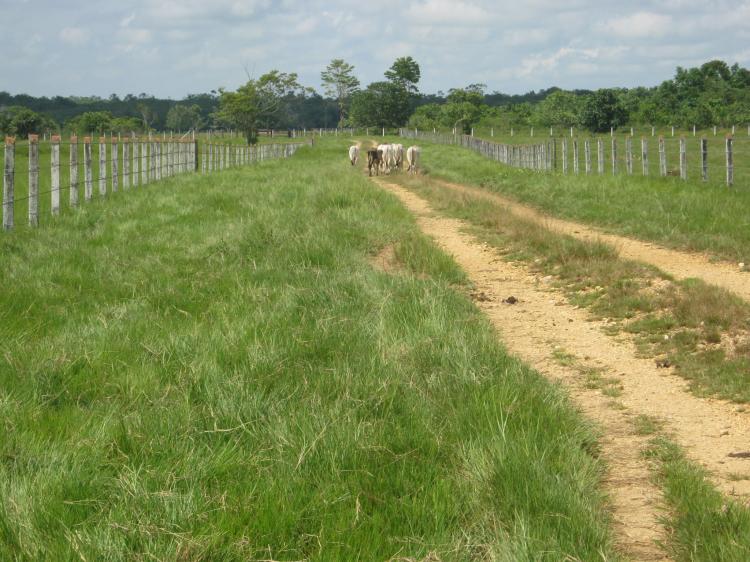 Finca Ganadera En Venta FIV29674 Finca ganadera en venta fiv29674