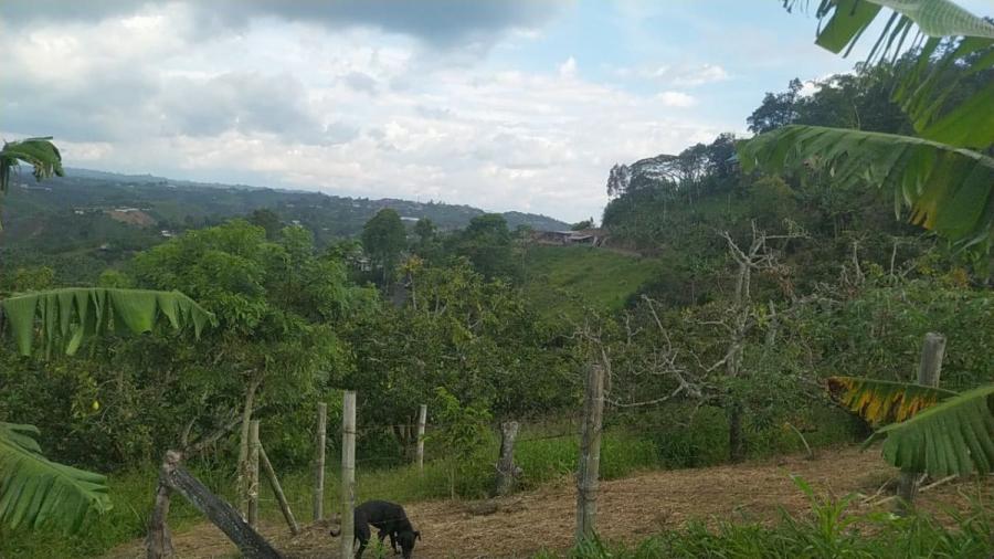 Foto Finca en Venta en Vereda Filo Bonito, Pereira, Risaralda - $ 1.100.000.000 - FIV202674 - BienesOnLine