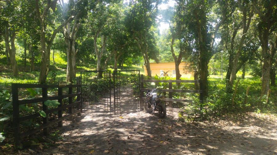 Foto Finca en Venta en San Luis - payandé, Tolima - $ 320.000.000 - FIV202147 - BienesOnLine