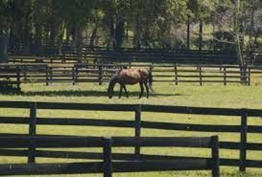 Foto Casa en Venta en fusagasuga, FUSAGASUGA  CUNDINAMARCA COLOMBIA, Cundinamarca - $ 3.500.000.000 - CAV199628 - BienesOnLine