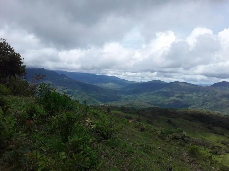 Foto Finca en Venta en Medellín, Antioquia - 12 hectareas - U$D 365.000 - FIV212477 - BienesOnLine