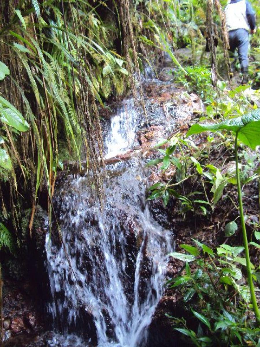Foto Finca en Venta en , Antioquia - 70 hectareas - U$D 150.000 - FIV150543 - BienesOnLine
