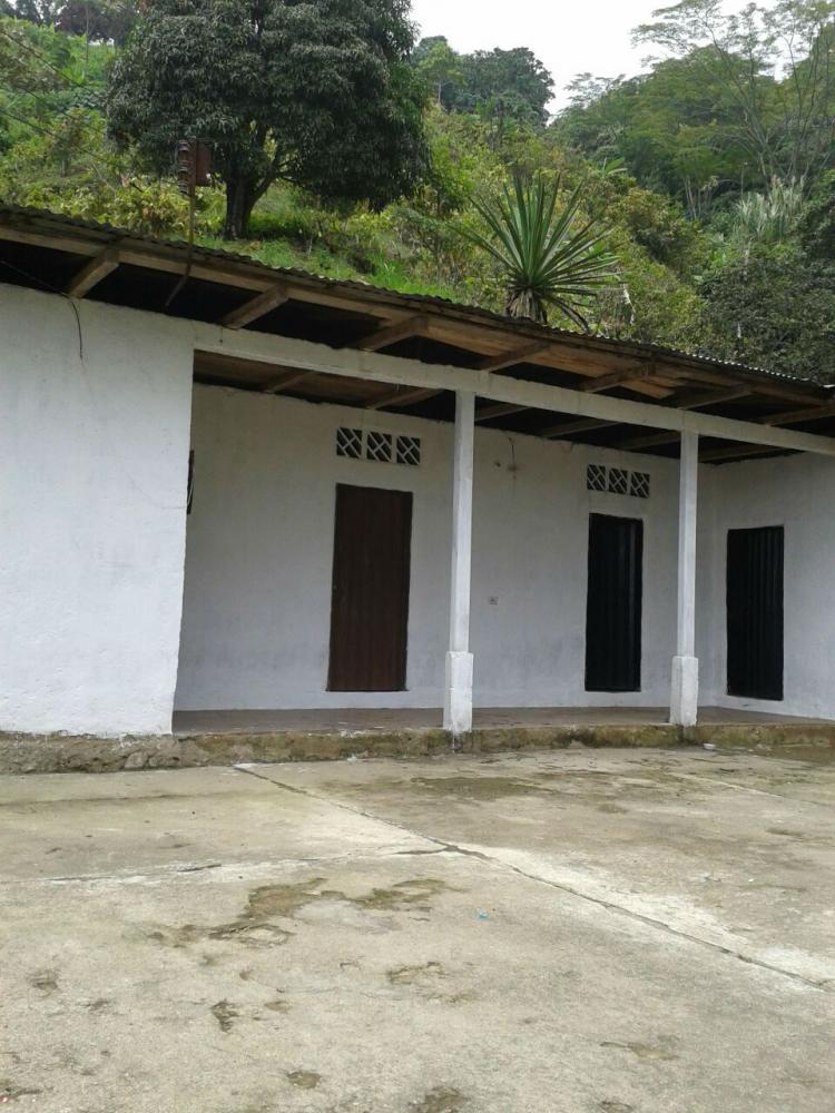 Foto Finca en Venta en Finca la Martinica Parte Baja, Ibagué, Tolima - 55 hectareas - $ 150.000.000 - FIV117306 - BienesOnLine