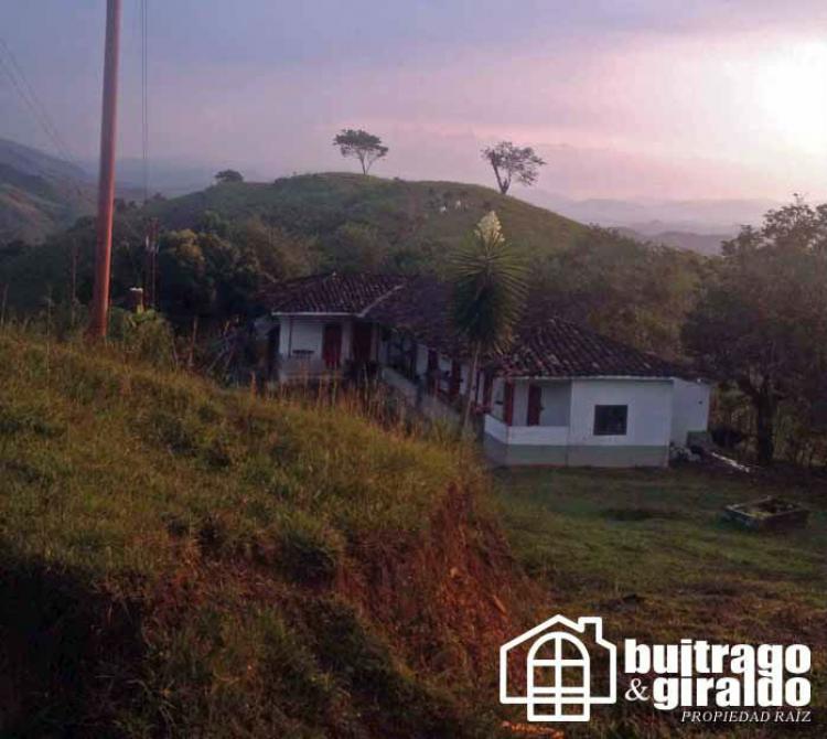 Foto Finca en Venta en Filadelfia, Caldas - $ 1.150.000.000 - FIV83328 - BienesOnLine