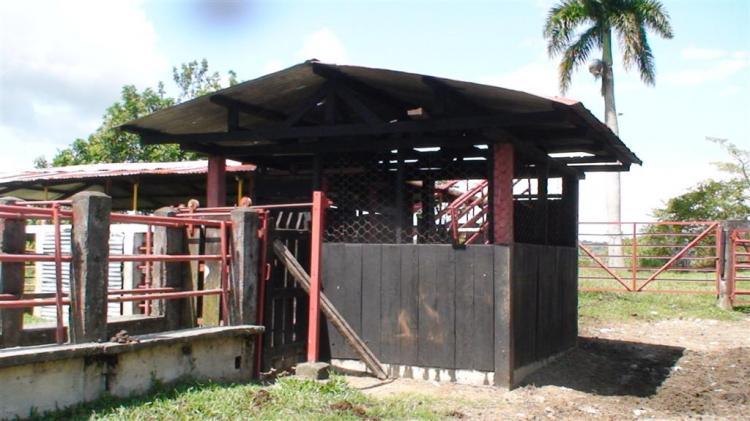 FINCA EN PASTOS EN VENTA EN LA VICTORIA VALLE DEL CAUCA