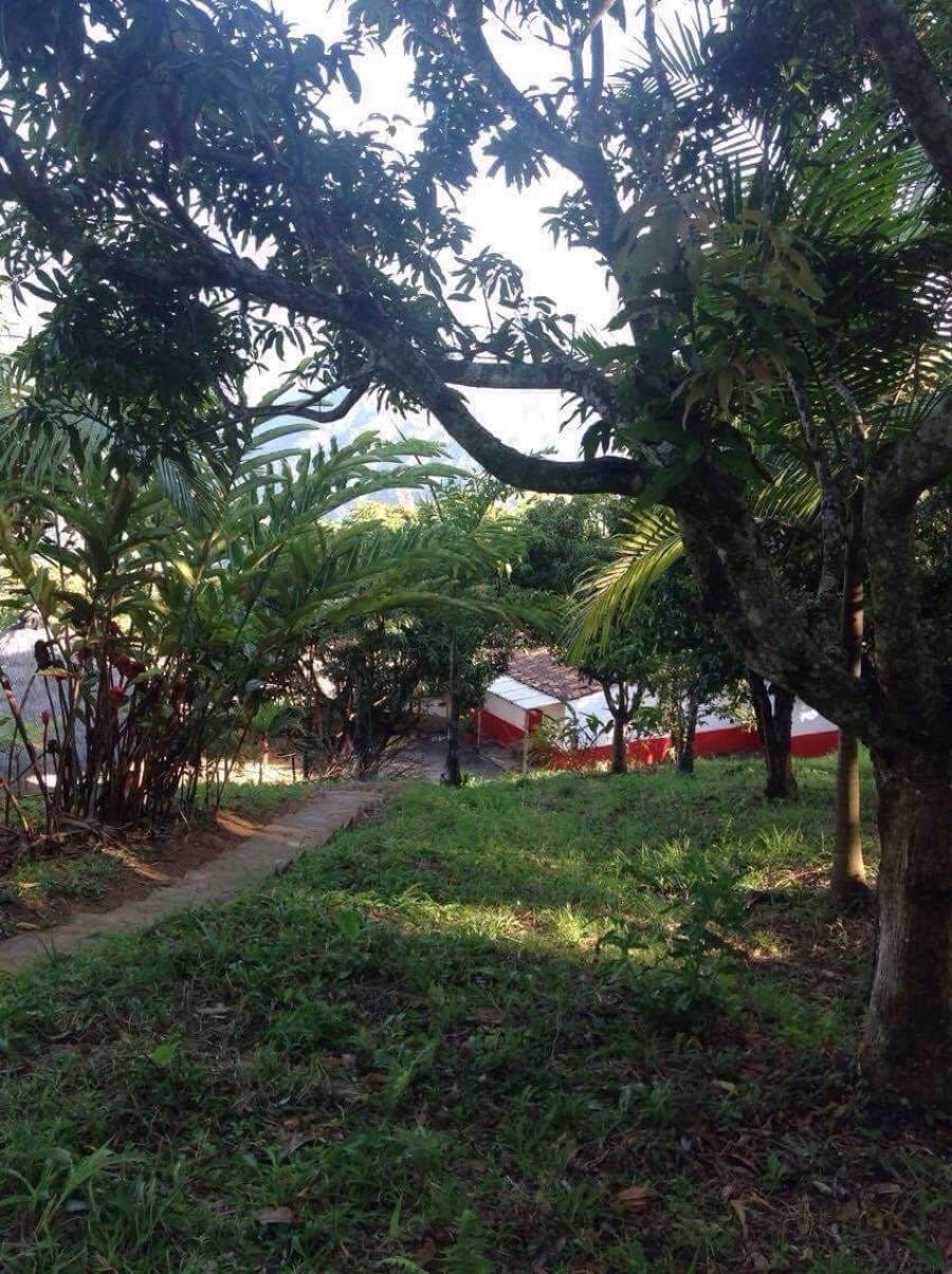 Foto Finca en Venta en primavera, Santa Bárbara, Antioquia - $ 250.000.000 - FIV71455 - BienesOnLine