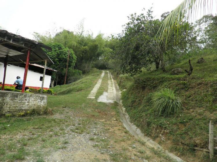 Foto Finca en Venta en PIEDRAS DE MOLER, , Valle del Cauca - $ 150.000.000 - FIV75495 - BienesOnLine