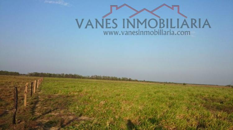 Foto Finca en Venta en Paz de Ariporo, Casanare - $ 6.000.000 - FIV106305 - BienesOnLine