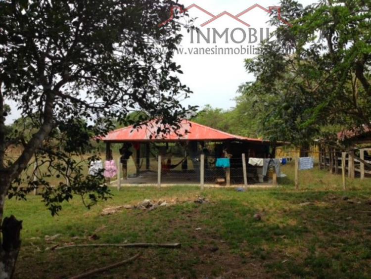 Foto Finca en Venta en monterrey, Monterrey, Casanare - $ 675.000.000 - FIV109524 - BienesOnLine