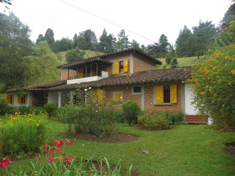 Foto Finca en Venta en Rionegro, Antioquia - $ 380.000.000 - FIV66251 - BienesOnLine