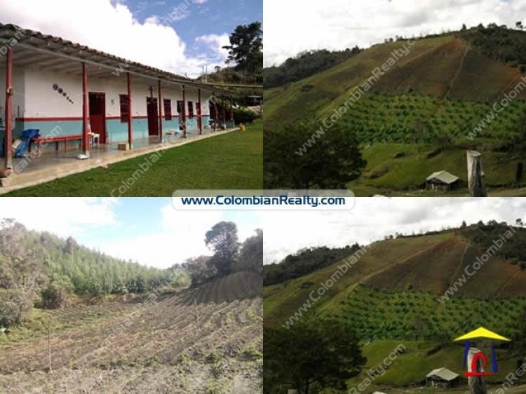 Foto Finca en Venta en San Vicente, Antioquia - $ 155.000.000 - FIV55565 - BienesOnLine