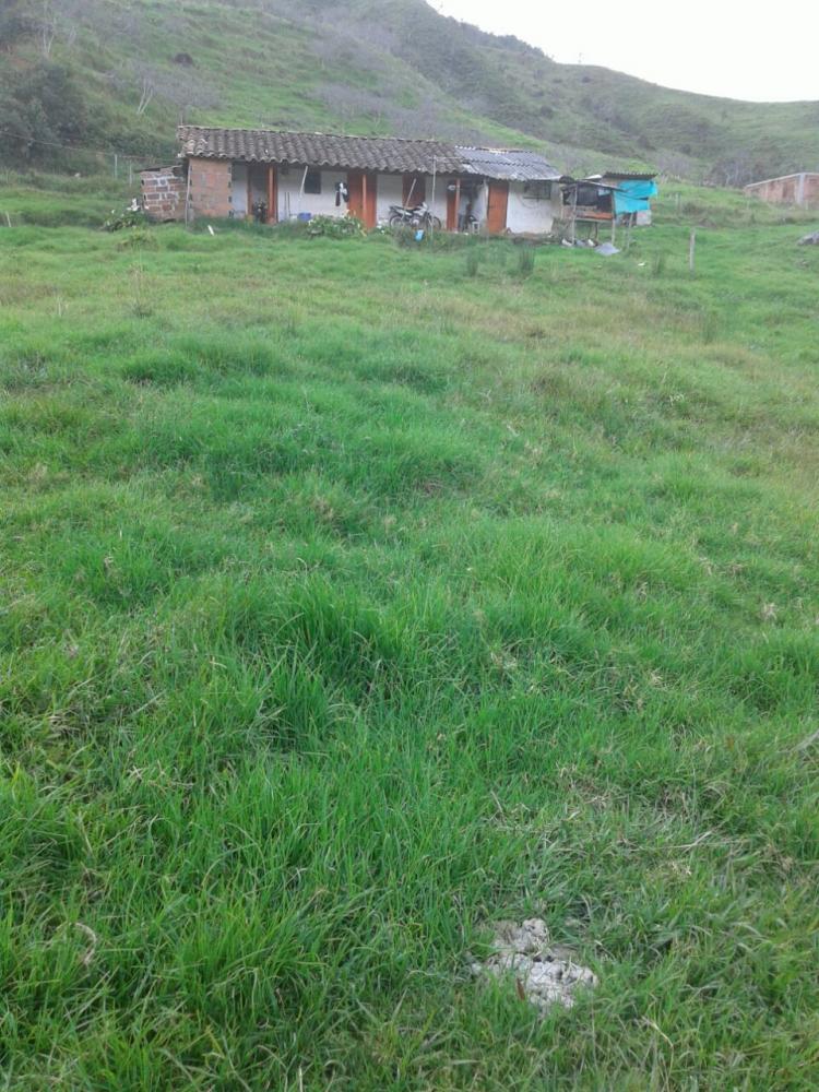 finca en yarumal vereda tobon