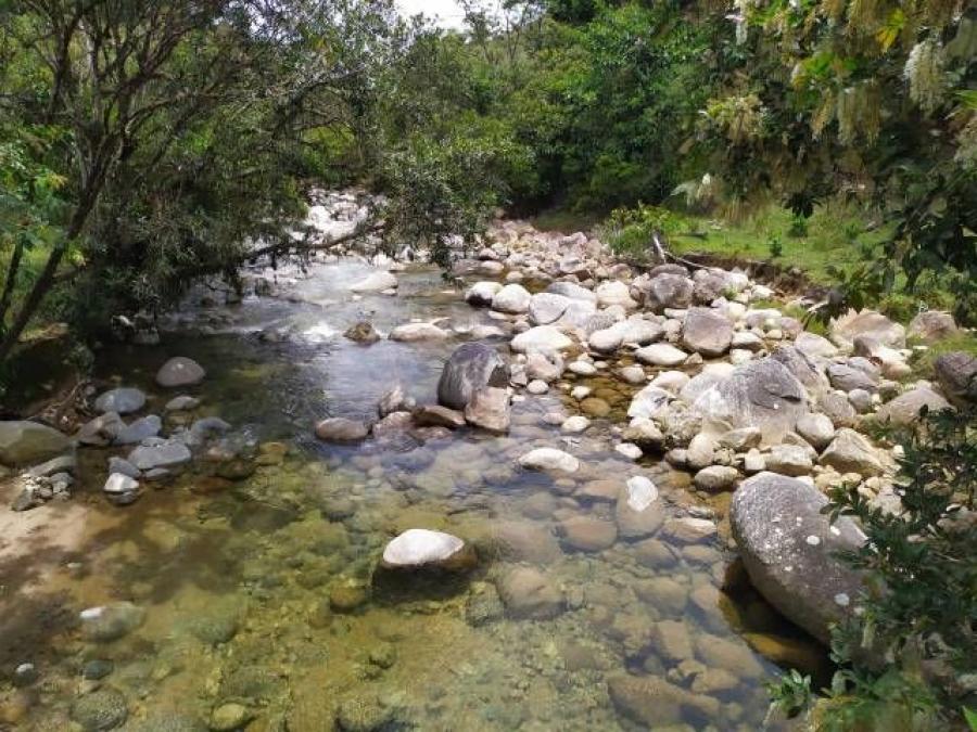 Foto Finca en Venta en San Rafael, Antioquia - $ 350.000.000 - FIV179237 - BienesOnLine