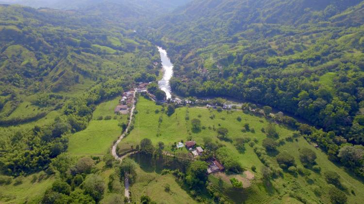 Foto Finca en Venta en Quimbaya, Quindío - 55 hectareas - $ 3.000.000.000 - FIV110823 - BienesOnLine