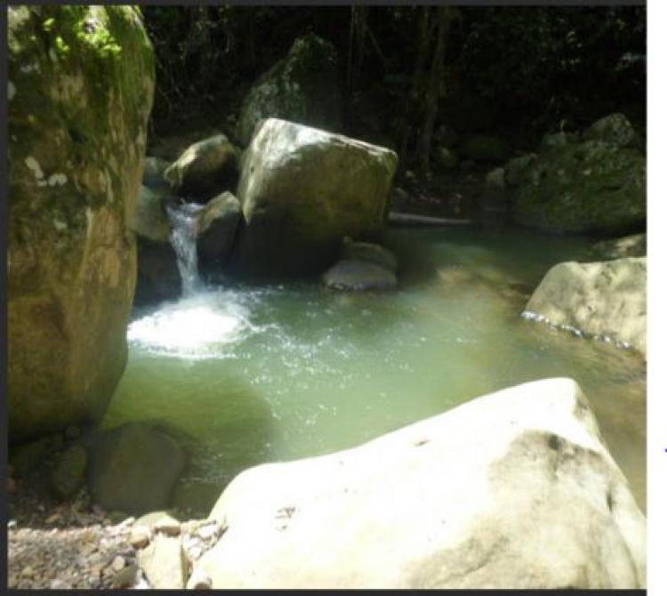 Foto Finca en Venta en via icononzo, Melgar, Tolima - $ 220.000.000 - FIV48439 - BienesOnLine