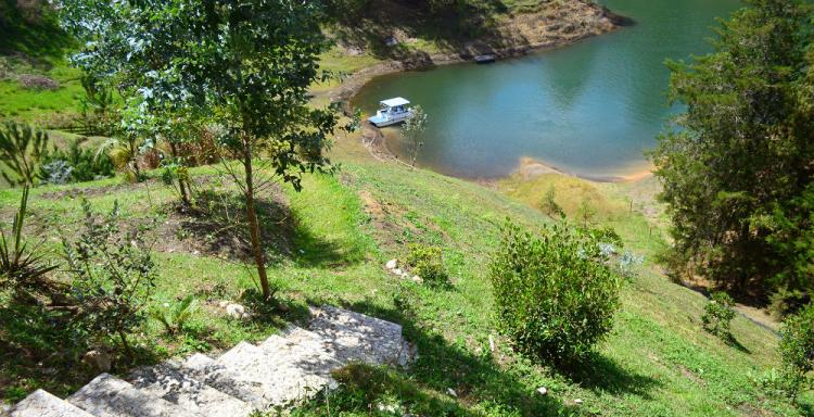 Foto Finca en Venta en El Peñol, Antioquia - $ 950.000.000 - FIV127639 - BienesOnLine