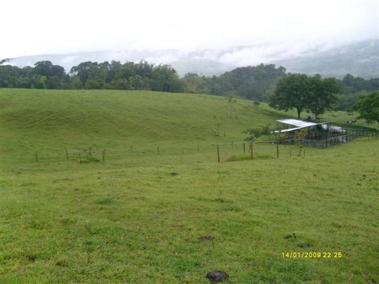 Foto Finca en Venta en corregimiento el agrado, Restrepo, Valle del Cauca - 73 hectareas - $ 1.500.000.000 - FIV2324 - BienesOnLine