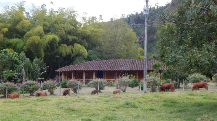 Foto Finca en Venta en Salento, Quindío - $ 3.500.000.000 - FIV66889 - BienesOnLine