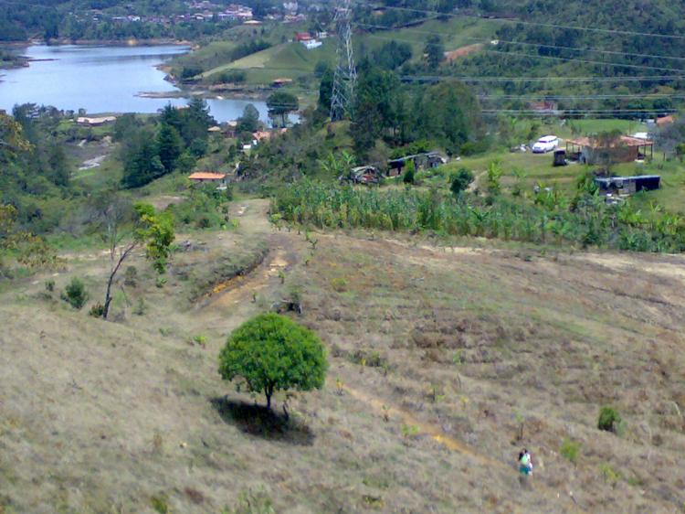 Foto Lote en Venta en Guatapé, Antioquia - U$D 160.000.000 - LOV8713 - BienesOnLine