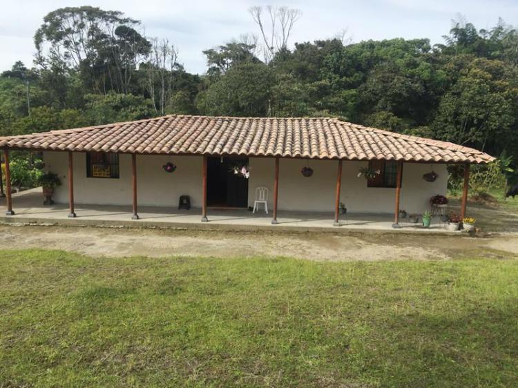 Foto Finca en Venta en Carmen de Viboral, Antioquia - $ 260.000.000 - FIV124626 - BienesOnLine
