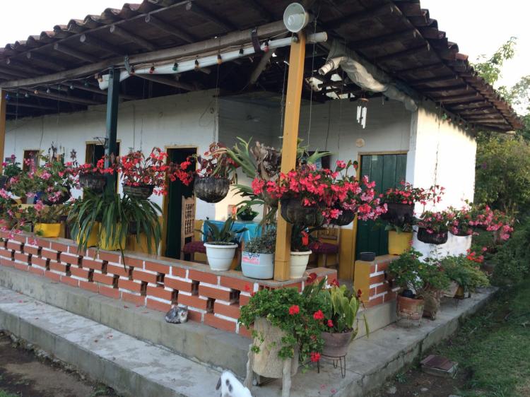 Foto Finca en Venta en Vereda san bernando-Paraje las trojas., Abejorral, Antioquia - 4 hectareas - $ 350.000 - FIV90146 - BienesOnLine