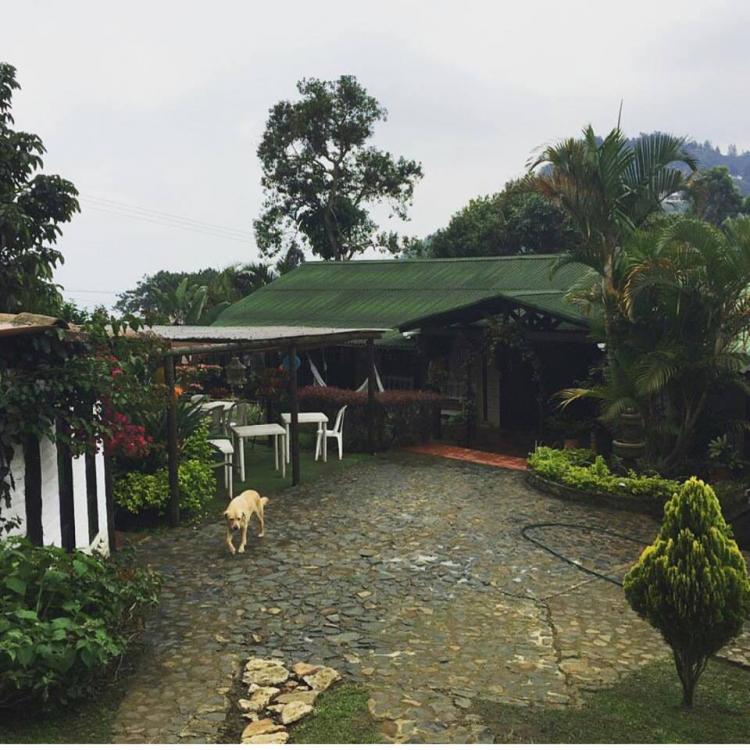 Foto Finca en Venta en dapa, Cali, Valle del Cauca - $ 600.000.000 - FIV151121 - BienesOnLine