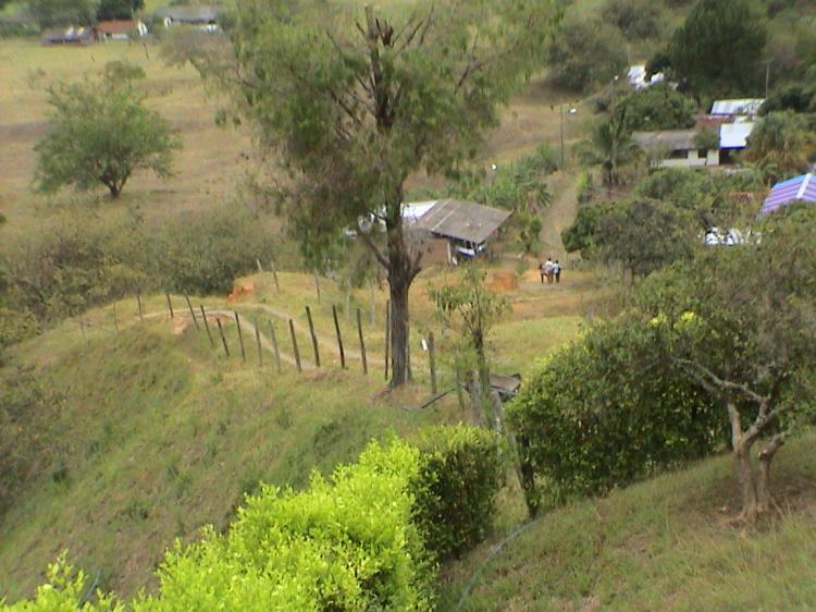 Foto Finca en Venta en tablones, Palmira, Valle del Cauca - 10 hectareas - $ 450.000.000 - FIV4867 - BienesOnLine