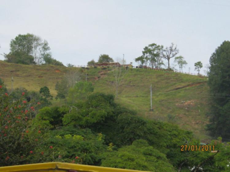 Foto Finca en Venta en Paraje El Chuscal, Jericó, Antioquia - $ 600.000.000 - FIV21583 - BienesOnLine