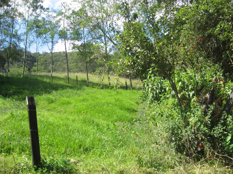 Foto Finca en Venta en NARIÑO, Chiquinquirá, Boyacá - 13 hectareas - $ 380.000.000 - FIV6976 - BienesOnLine