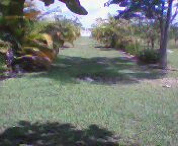 Foto Finca en Venta en guamo, Tolima - U$D 100.000.000 - FIV16263 - BienesOnLine