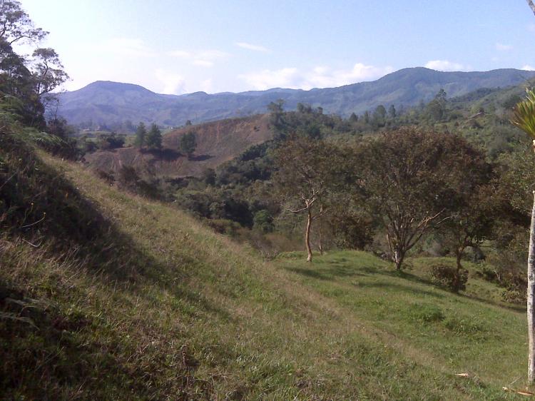 Foto Finca en Venta en la bonba, Carolina del Príncipe, Antioquia - 25 hectareas - $ 180.000.000 - FIV26595 - BienesOnLine