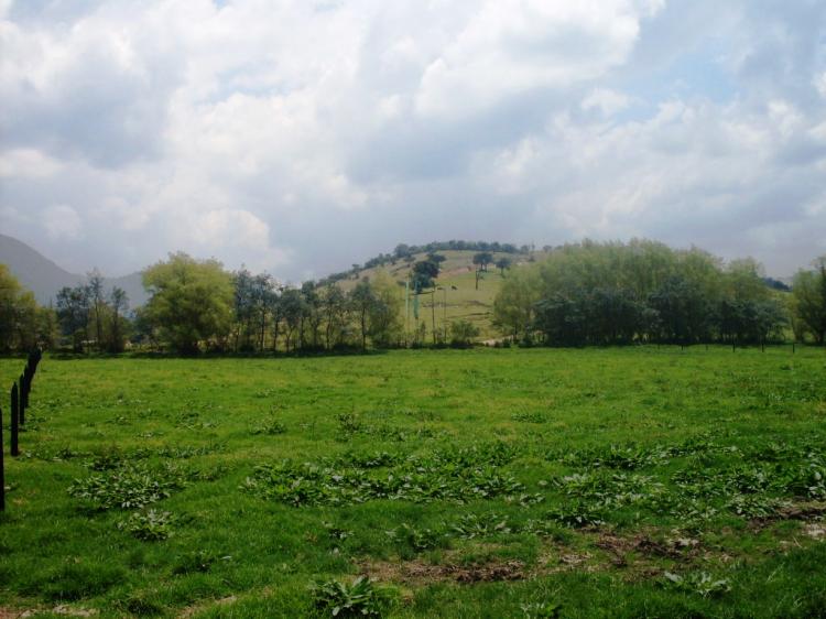 SE VENDEN LOTES EN LA CALERA