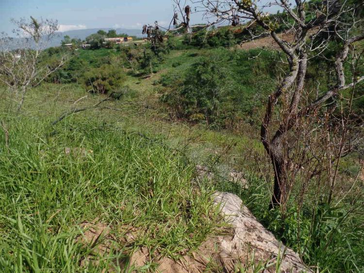 Foto Lote en Venta en TRES ESQUINAS, Piedecuesta, Santander - 2 hectareas - $ 3.960.000.000 - LOV91750 - BienesOnLine