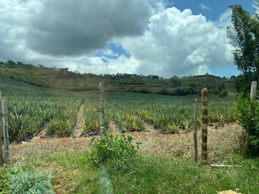 Foto Finca en Venta en Pavas, La Cumbre, Valle del Cauca - $ 120.000 - FIV209123 - BienesOnLine