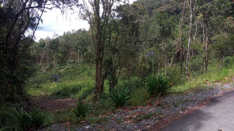 Lote El Escobero (El Retiro). UNIDAD CERRADA, AGUA PROPIA, RESERVA NATURAL, *OPORTUNIDAD*