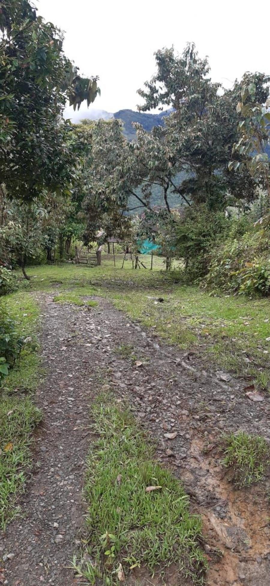 Foto Lote en Venta en campo hermoso, HOYAGRANDE, Boyacá - $ 339.000.000 - LOV188161 - BienesOnLine