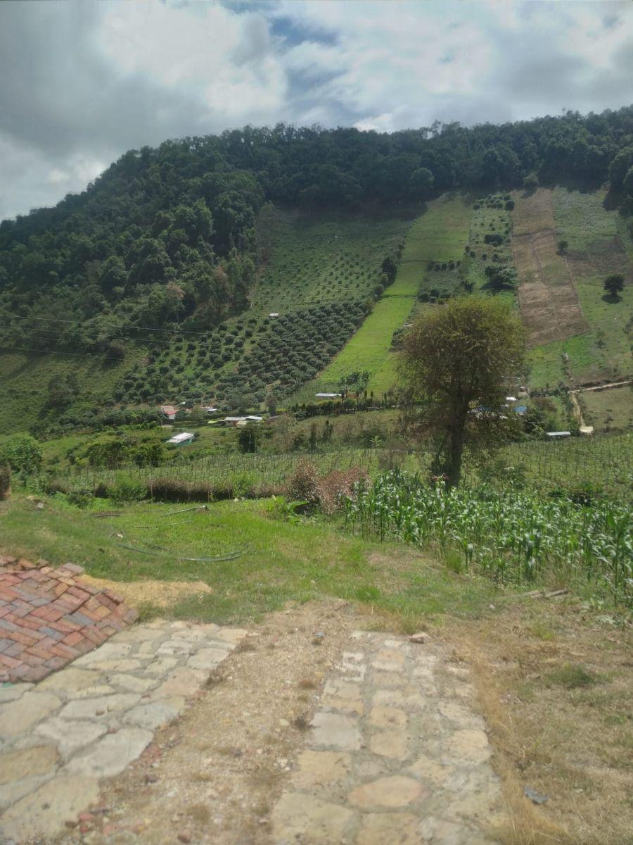 Foto Lote en Venta en fusagasuga, FUSAGASUGA  CUNDINAMARCA COLOMBIA, Cundinamarca - LOV202640 - BienesOnLine