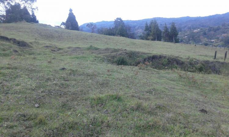 Foto Lote en Venta en Sector Brizuela, Guarne, Antioquia - $ 1.512.000.000 - LOV116793 - BienesOnLine