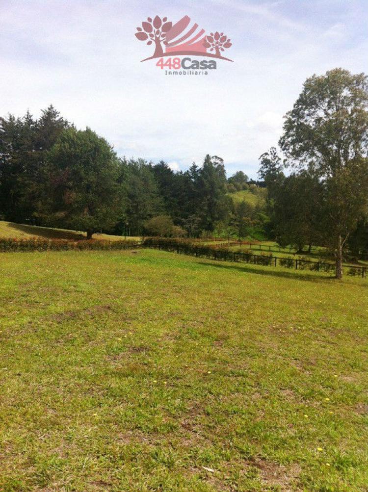 Foto Lote en Venta en Llanogrande, Rionegro, Antioquia - $ 450.000.000 - LOV85115 - BienesOnLine