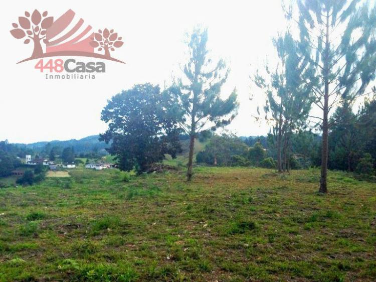 Foto Lote en Venta en vereda Pontezuela, Rionegro, Antioquia - $ 400.000.000 - LOV75811 - BienesOnLine