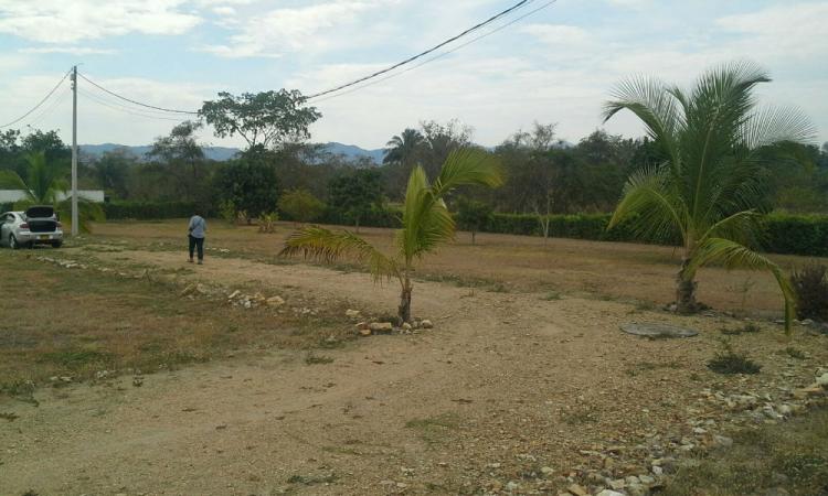 Foto Lote en Venta en Condominio El Triunfo, Agua de Dios, Cundinamarca - $ 65.000.000 - LOV95339 - BienesOnLine