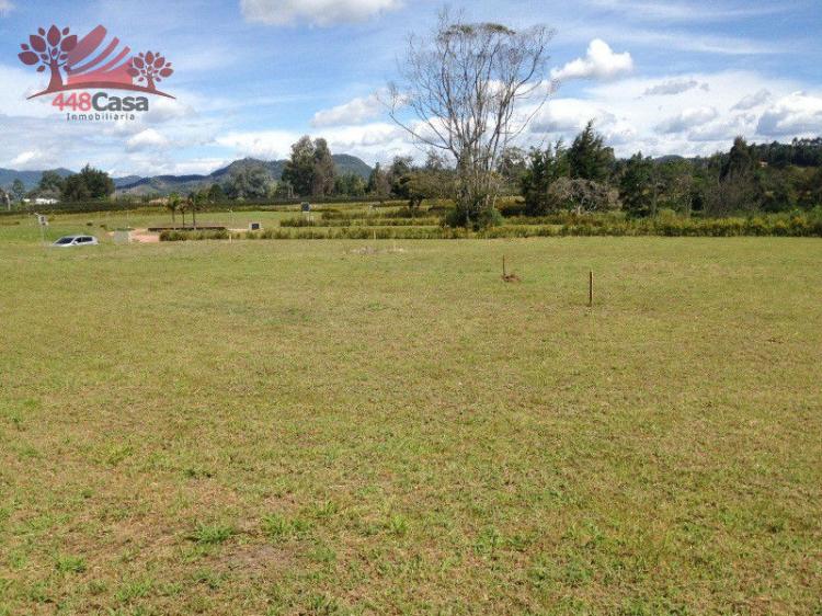 Foto Lote en Venta en Llanogrande, , Antioquia - $ 700.000.000 - LOV87734 - BienesOnLine