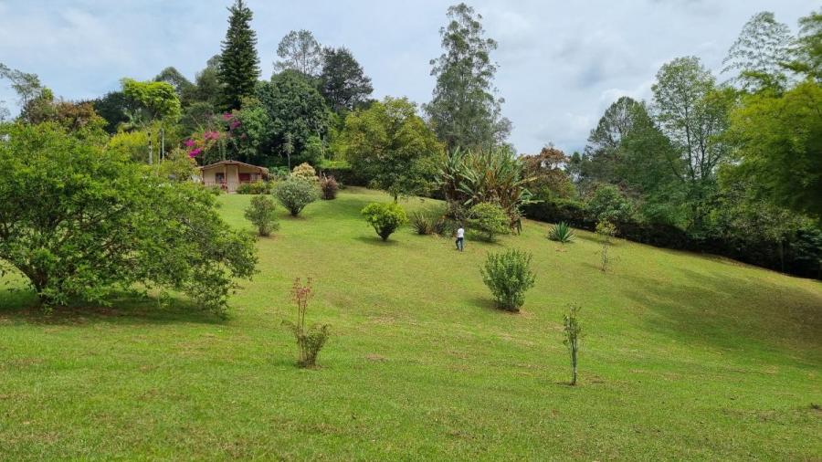 Foto Lote en Venta en LLANOGRANDE, Rionegro, Antioquia - $ 1.350.000.000 - LOV199595 - BienesOnLine